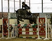 Edwina FZ TosTour2013- S5 3218 : Arezzo, Arezzo Equestrian Centre, Cavalli d'Italia, Edwina FZ, Toscana Tour 2013, foto di Stefano Secchi ©